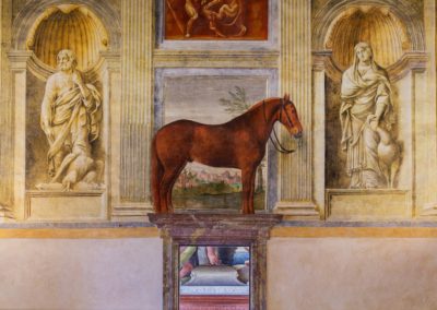 The Favorite Horse, Italy